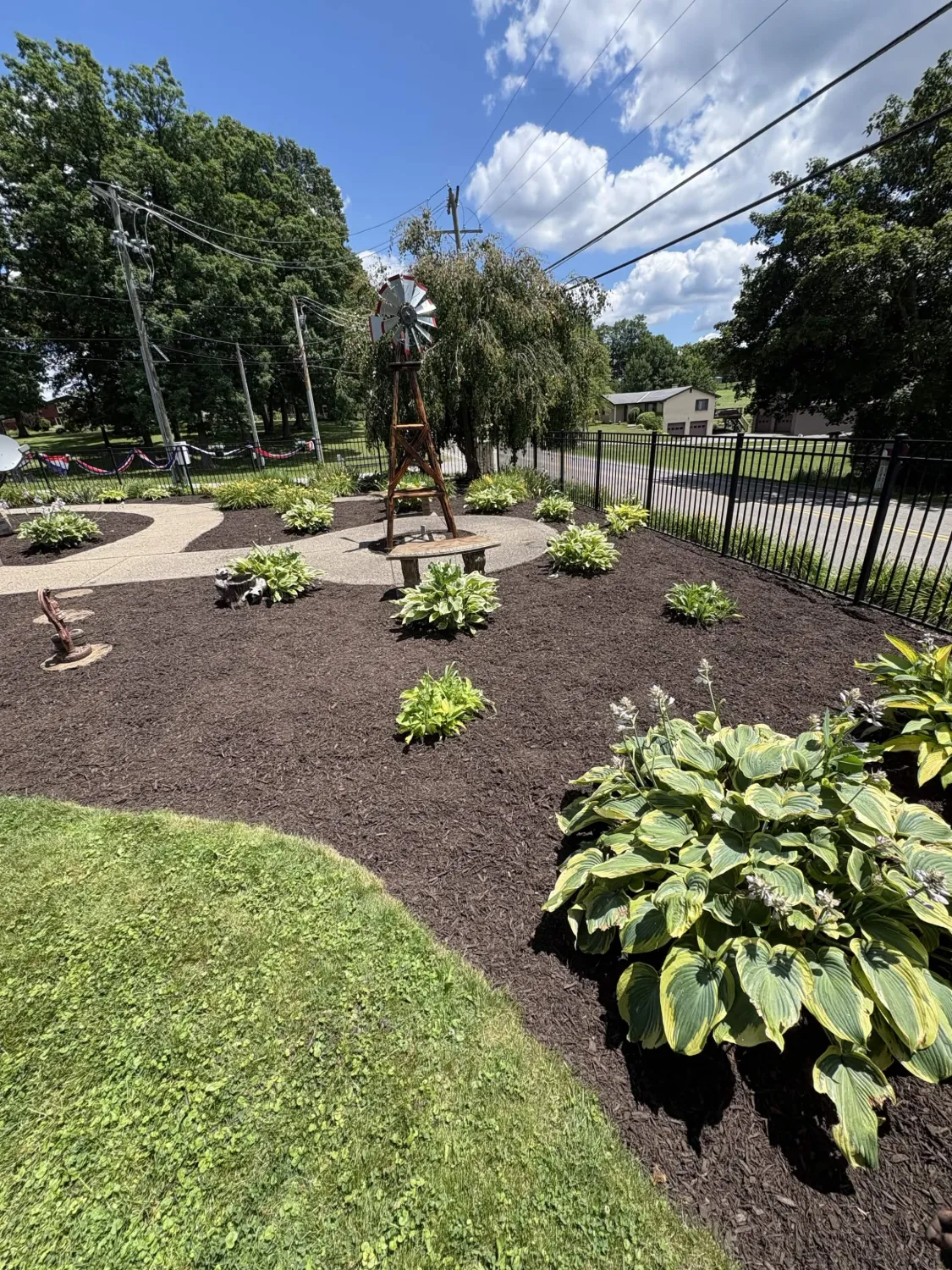 Mulch bed after - fresh dark mulch with hostas
