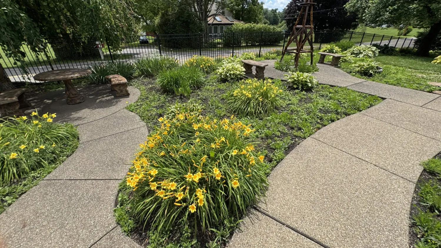 Mulch bed before - overgrown weedy beds